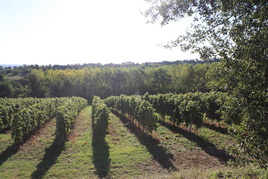 chiusura per ferie e inventario